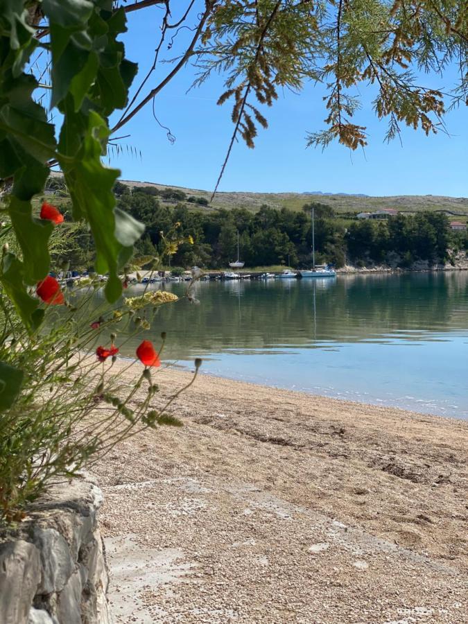Villa Cvita Povljana Esterno foto