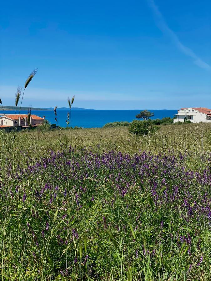 Villa Cvita Povljana Esterno foto
