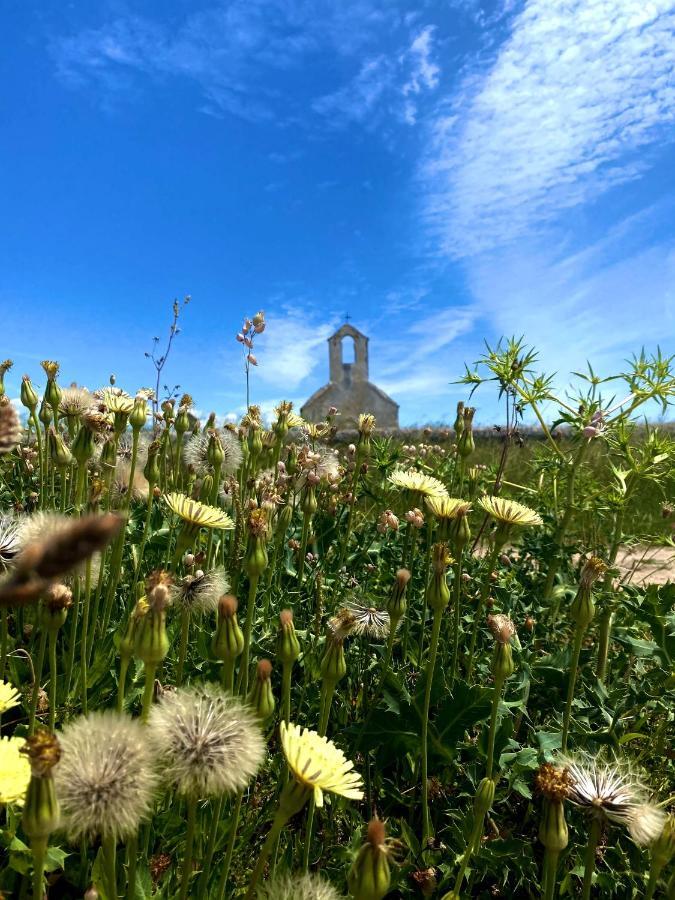 Villa Cvita Povljana Esterno foto