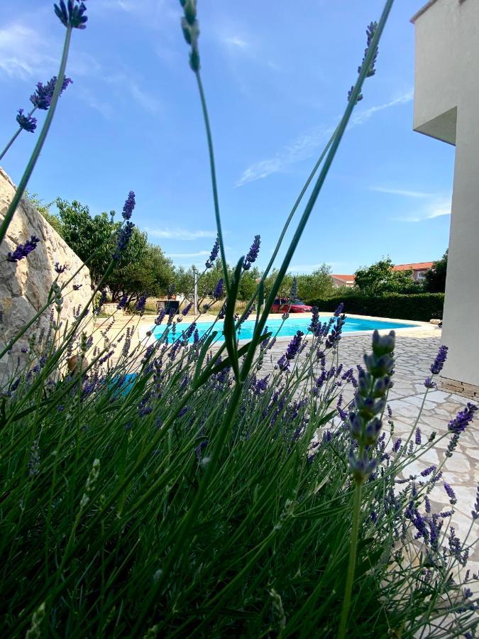 Villa Cvita Povljana Esterno foto