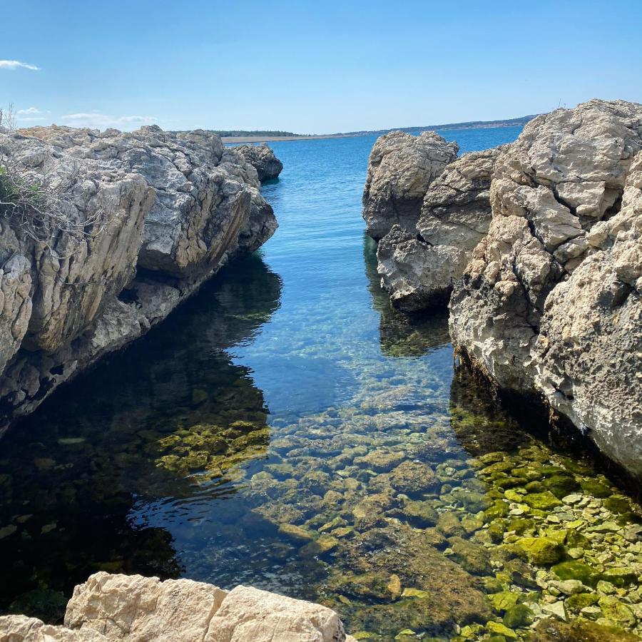 Villa Cvita Povljana Esterno foto