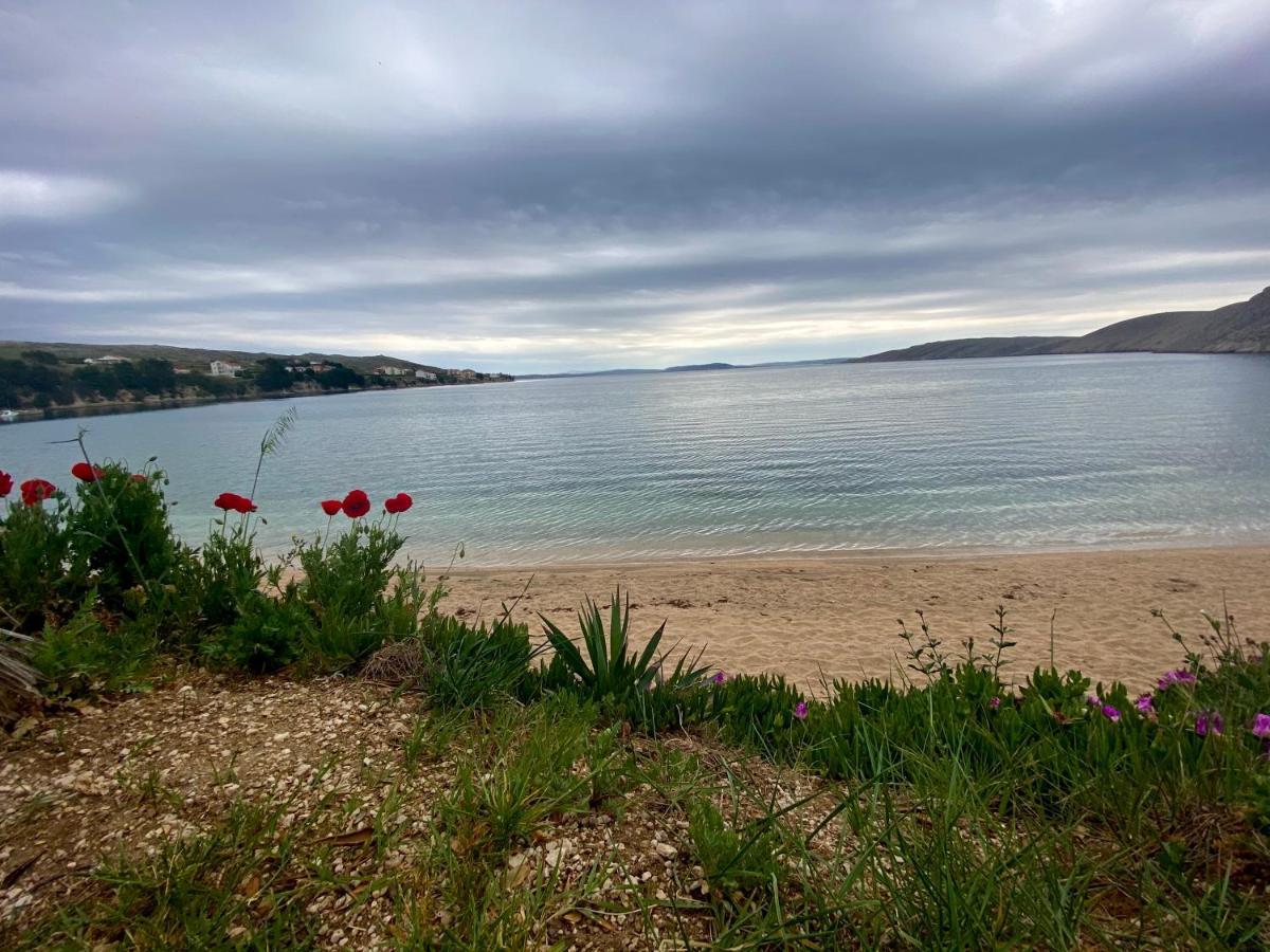 Villa Cvita Povljana Esterno foto